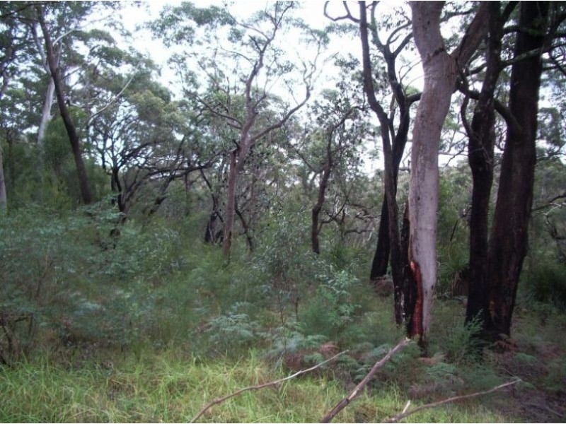 Kurrajong Heights NSW 2758