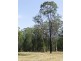 Lot 4 Gardiners Road, James Creek NSW 2463