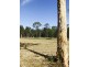 Lot 4 Gardiners Road, James Creek NSW 2463
