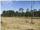 Lot 4 Gardiners Road, James Creek NSW 2463