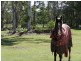 5 Major Mitchell, Gulmarrad NSW 2463