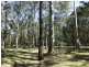 16 Forest Way, Woombah NSW 2469