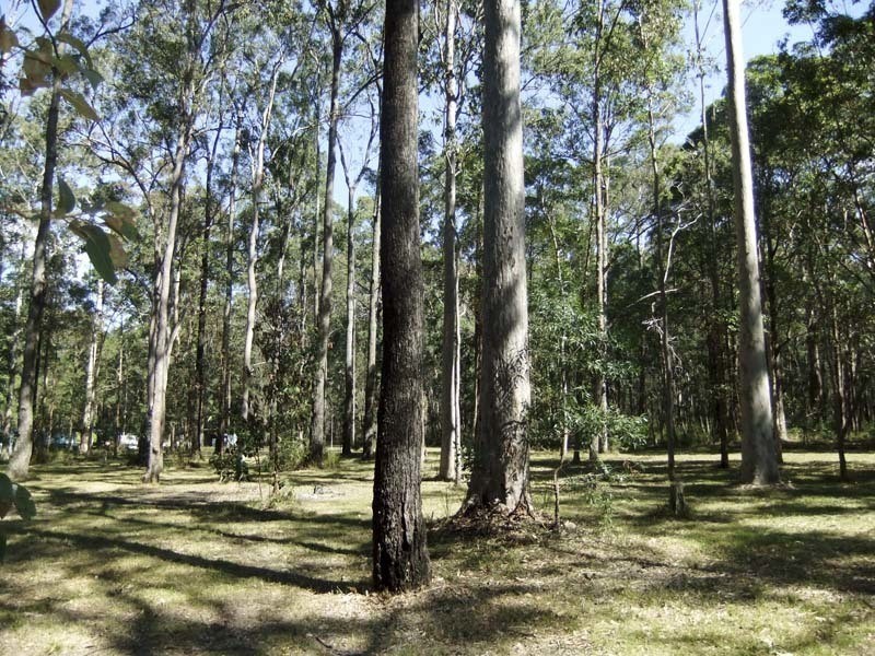 16 Forest Way, Woombah NSW 2469