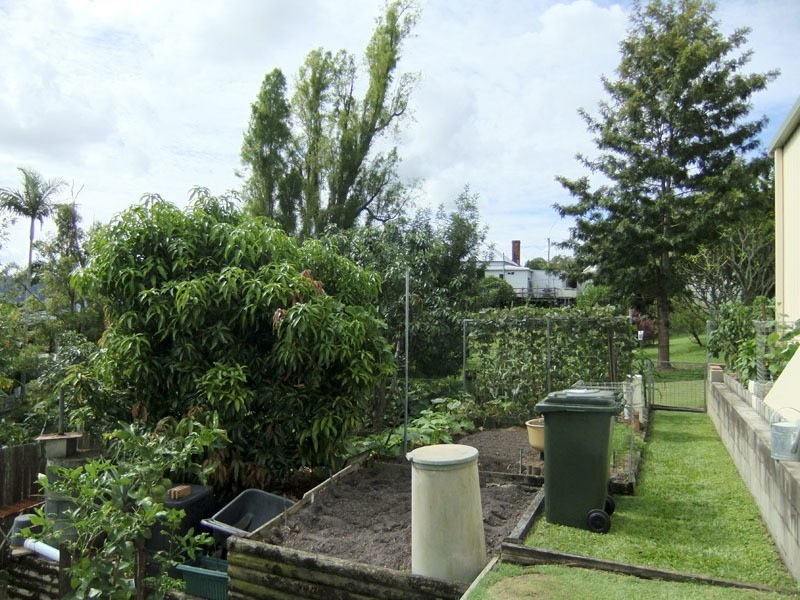 41 Taloumbi Street, Maclean NSW 2463