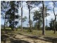 Lot 52 Wonga Court, Gulmarrad NSW 2463