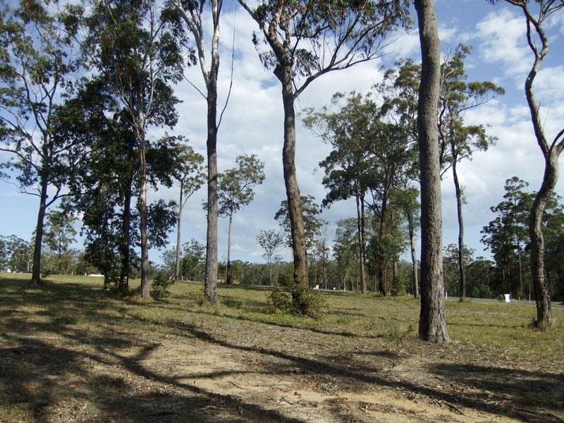 Lot 52 Wonga Court, Gulmarrad NSW 2463