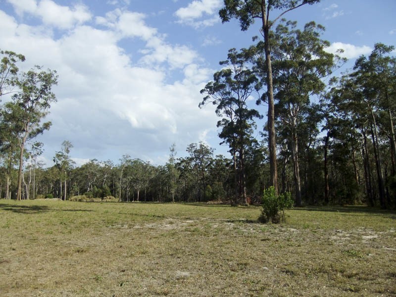 Lot 55 Wonga Court, Gulmarrad NSW 2463