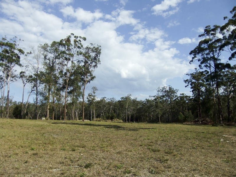 Lot 55 Wonga Court, Gulmarrad NSW 2463
