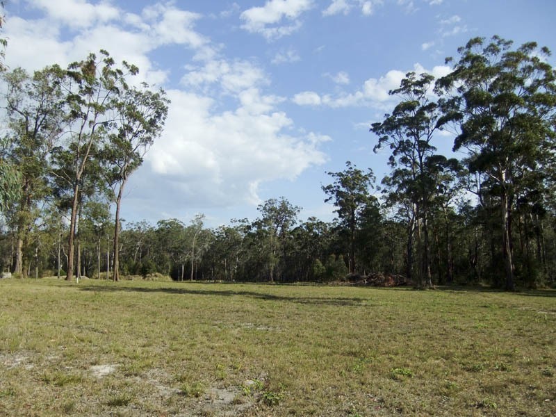 Lot 55 Wonga Court, Gulmarrad NSW 2463