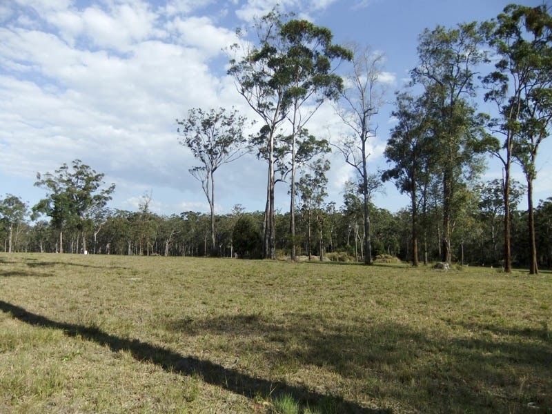 Lot 56 Mahogany Drive, Gulmarrad NSW 2463