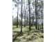 Lot 14 Bruce Drive, Gulmarrad NSW 2463