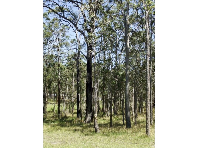 Lot 38 Bloodwood Grove, Gulmarrad NSW 2463