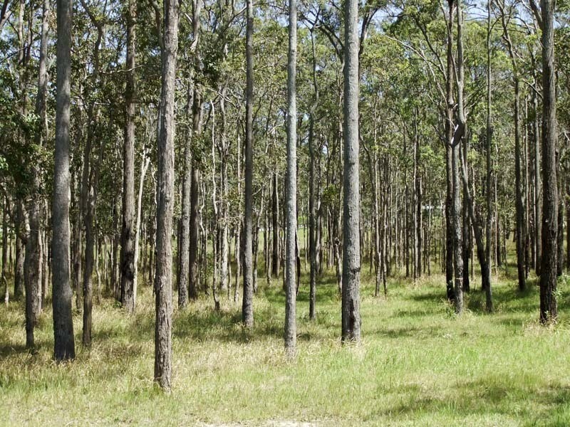 Lot 38 Bloodwood Grove, Gulmarrad NSW 2463