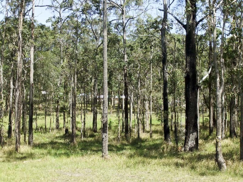 Lot 38 Bloodwood Grove, Gulmarrad NSW 2463