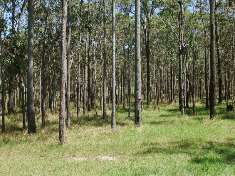 Lot 38 Bloodwood Grove, Gulmarrad NSW 2463