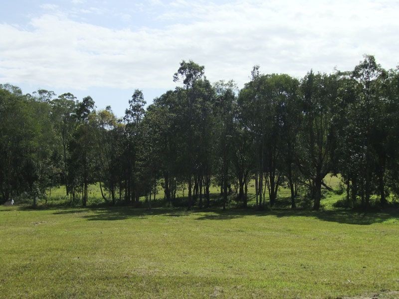 Lot 6 Murrayville Road, Ashby NSW 2463