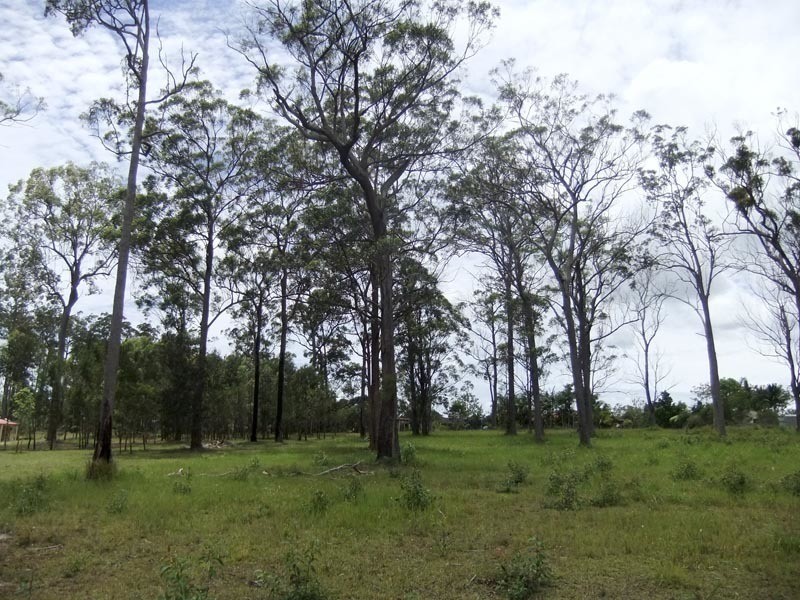 30 King Parrot Parade, Gulmarrad NSW 2463