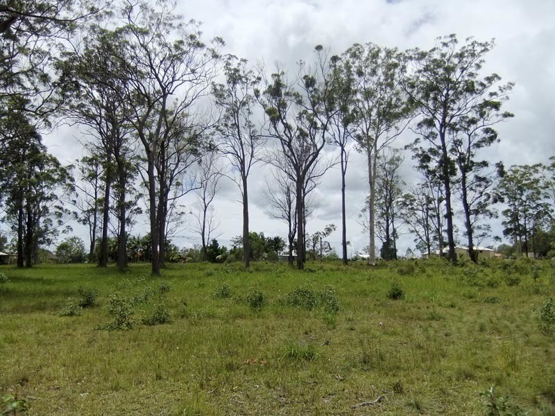 30 King Parrot Parade, Gulmarrad NSW 2463