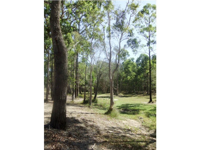 22 Clyde Essex Drive, Gulmarrad NSW 2463