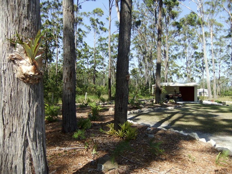 38 Whispering Pines Place, Gulmarrad NSW 2463