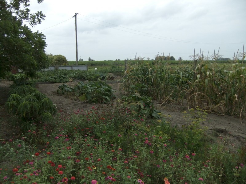 Not Supplied  Not Supplied, Harwood NSW 2465