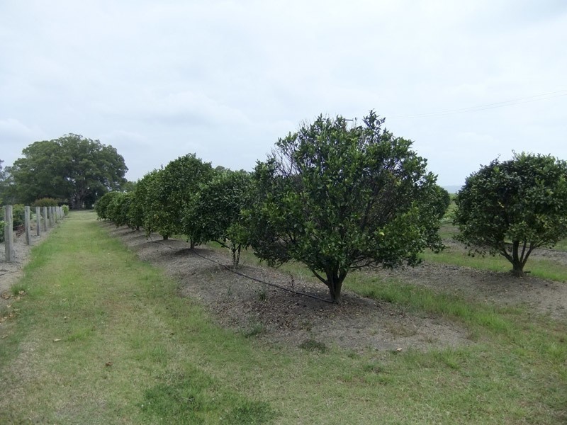 Not Supplied  Not Supplied, Harwood NSW 2465