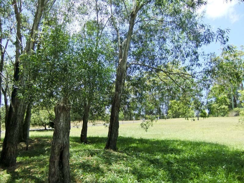 462 Murrayville Road, Ashby NSW 2463