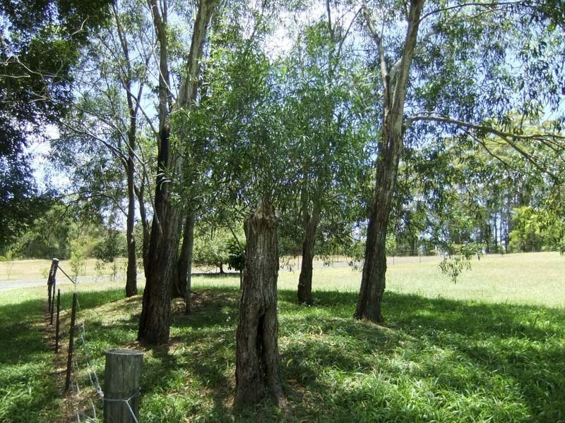 462 Murrayville Road, Ashby NSW 2463