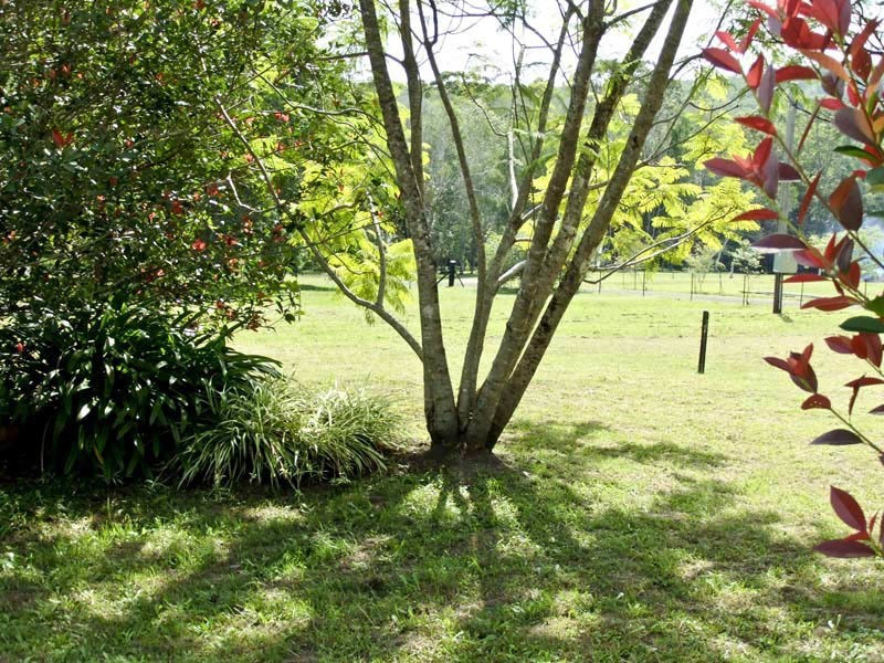 462 Murrayville Road, Ashby NSW 2463