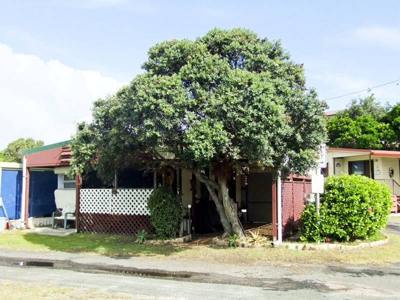 45 Brooms Head Caravan Park, Brooms Head NSW 2463