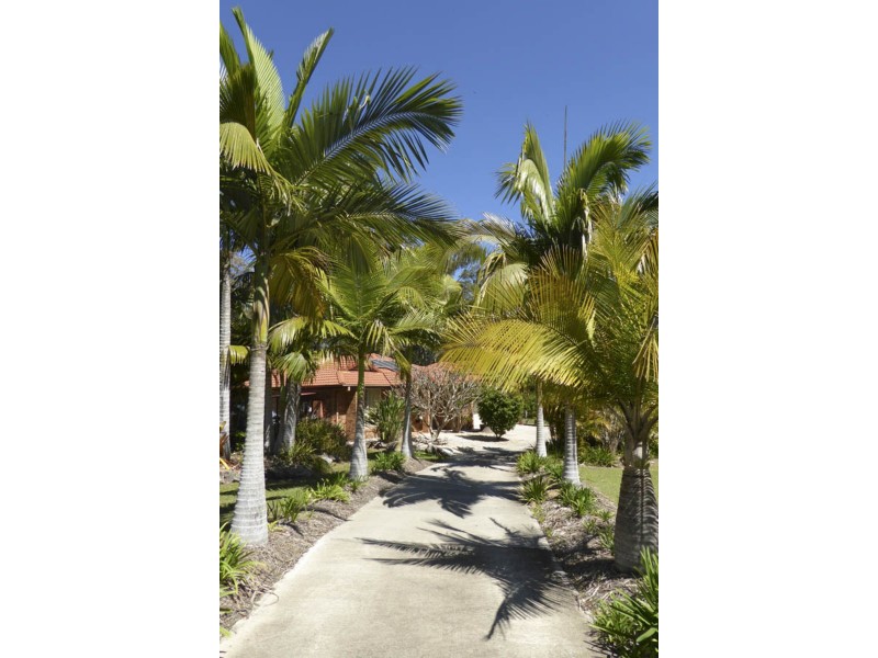 37  Clyde Essex  Drive, Gulmarrad NSW 2463