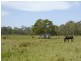 30 Wampi Palce, James Creek NSW 2463