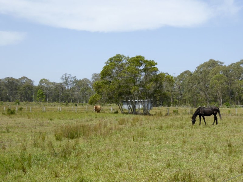 30 Wampi Palce, James Creek NSW 2463