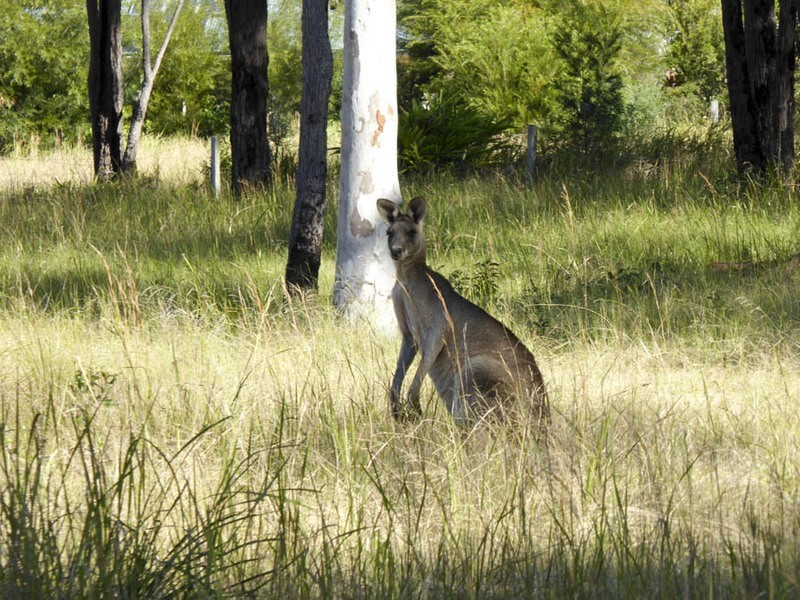 Lot 12A Bruce Drive, Gulmarrad NSW 2463