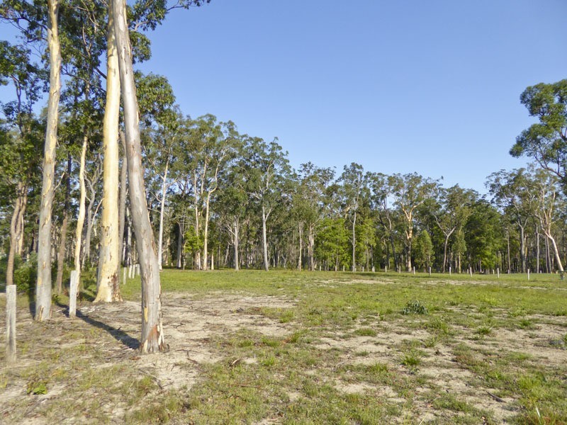 Lot 9 Dianella Drive, Gulmarrad NSW 2463
