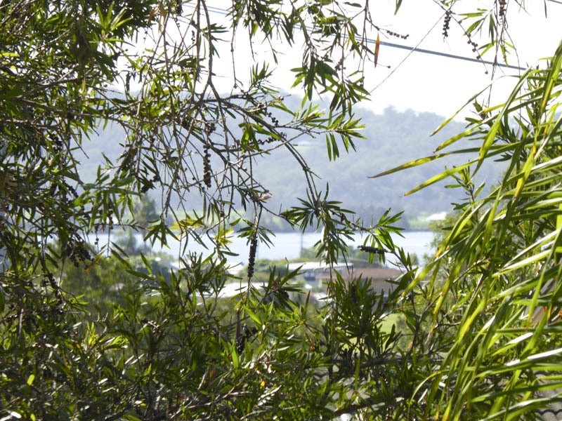 12 McPhee, Maclean NSW 2463