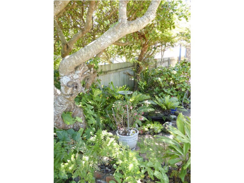 43 OCEAN ROAD, Brooms Head NSW 2463