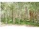 189  Loughmans Lane, Shark Creek NSW 2463