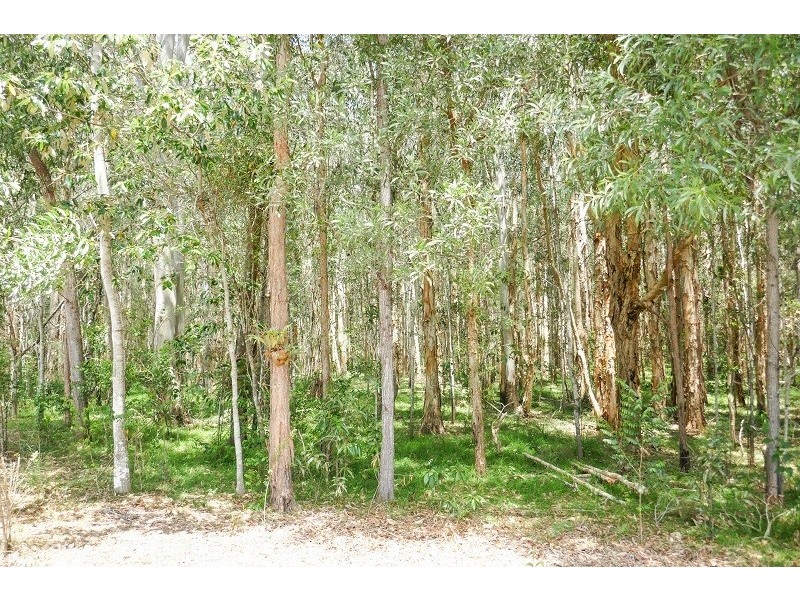 189  Loughmans Lane, Shark Creek NSW 2463