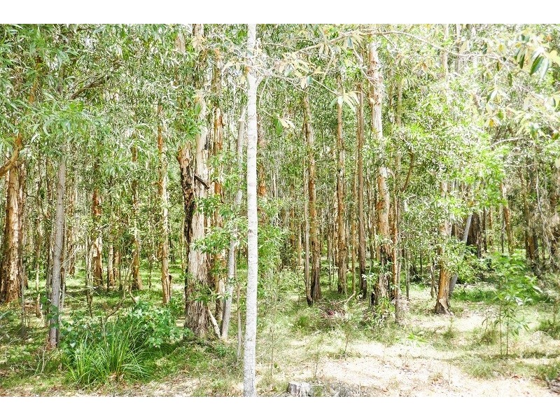 189  Loughmans Lane, Shark Creek NSW 2463