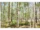 189  Loughmans Lane, Shark Creek NSW 2463