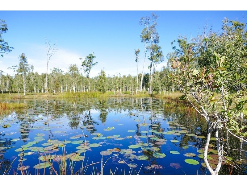 4 Boundary Road, Gulmarrad NSW 2463