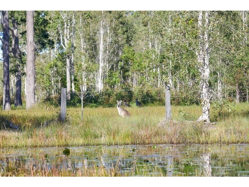 4 Boundary Road, Gulmarrad NSW 2463