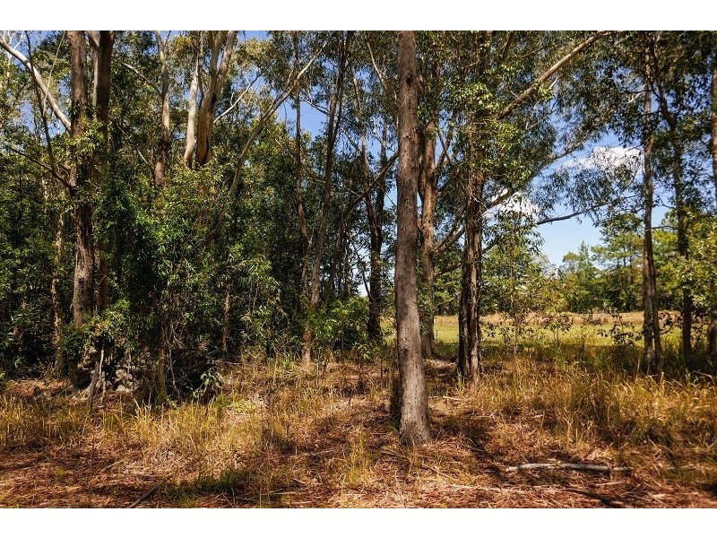 38 Platers Road, Gulmarrad NSW 2463