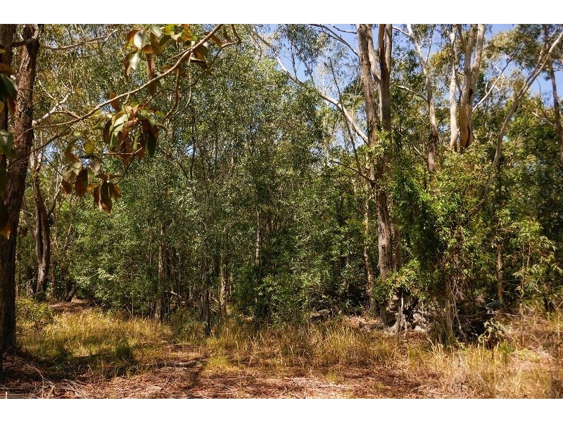 38A Platers Road, Gulmarrad NSW 2463