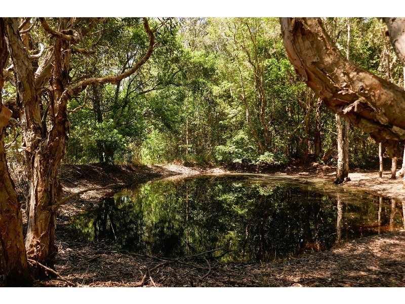 38A Platers Road, Gulmarrad NSW 2463