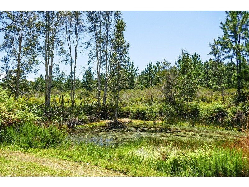 1035 Brooms Head Road, Taloumbi NSW 2463