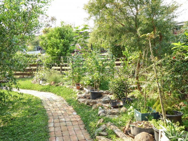 12 Grafton Street, Maclean NSW 2463