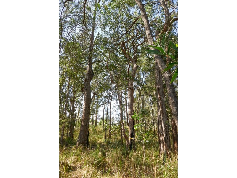 69 Dianella Drive, Gulmarrad NSW 2463