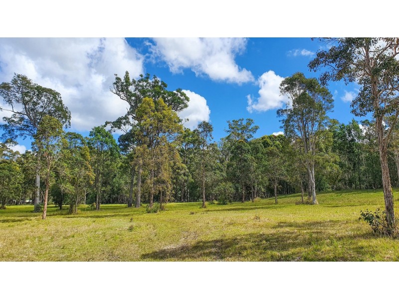 James Creek NSW 2463